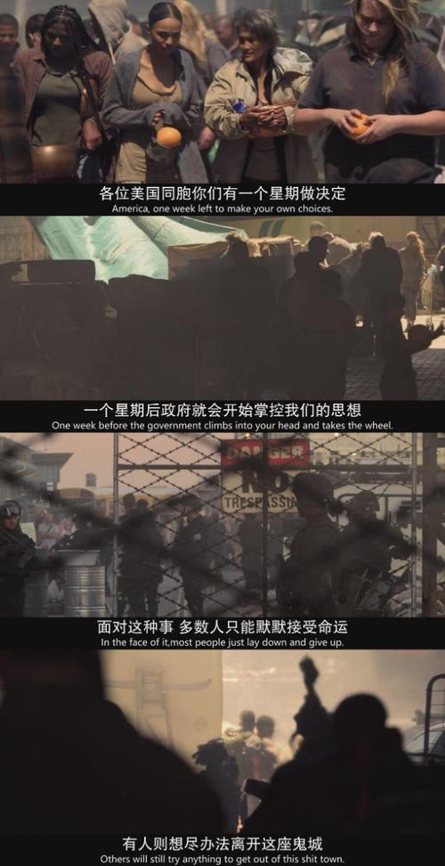 爛番茄0鮮, 美國最后一宗罪案 可能是拍了這部電影