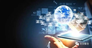 泛ip 熱背后 重探長效價值