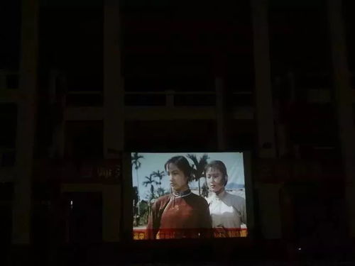 第175期 十月小結,瓊臺青年志愿者繼續行動